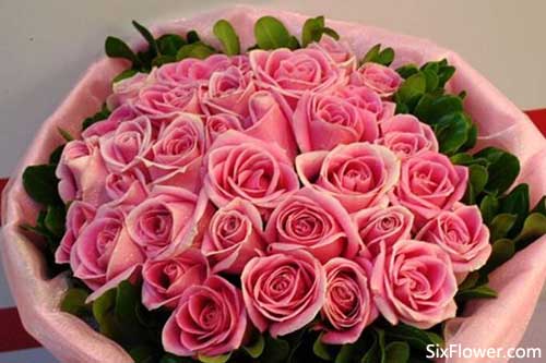 33朵粉玫瑰的花语是什么?33朵粉玫瑰代表什么意思?