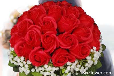 送花常识 玫瑰花    玫瑰花是神奇的,因为一束玫瑰花就无声的代表着你
