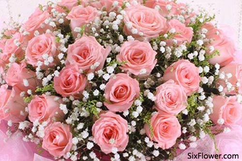 七夕节送多少钱的玫瑰花好?