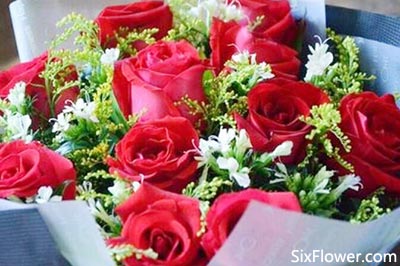 送花常识 玫瑰花   26朵玫瑰的花语包括着他的心属于你,他愿意一生去