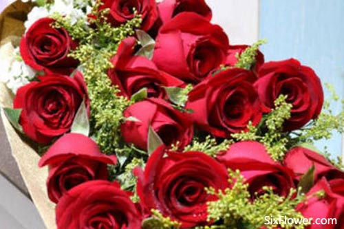 10朵红玫瑰的花语是什么10朵红玫瑰什么意思