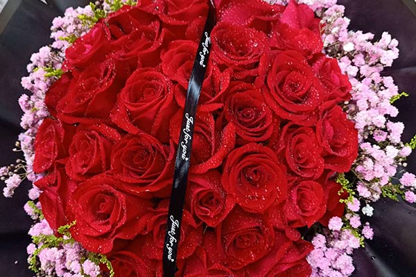 第一次送花给女孩是选择粉玫瑰还是红玫瑰好？