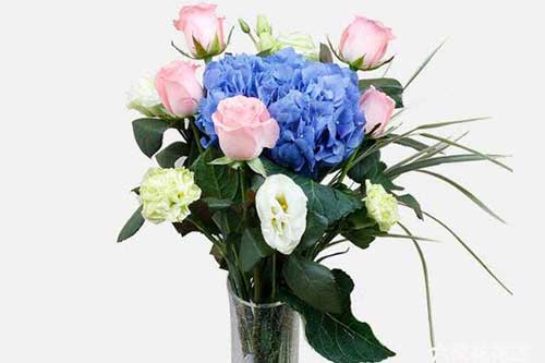 瓶插花常见搭配的花材有哪些 六朵花