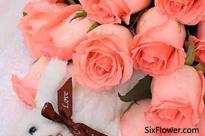 19朵粉玫瑰多少钱一束?19朵粉玫瑰的花语