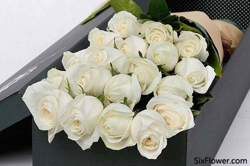 白玫瑰的花语(黑玫瑰和白玫瑰的花语)