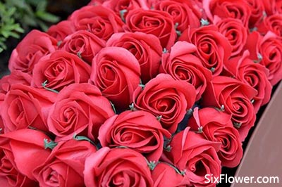 玫瑰花与桔梗搭配代表什么意思 玫瑰花与桔梗花有哪些搭配 六朵花