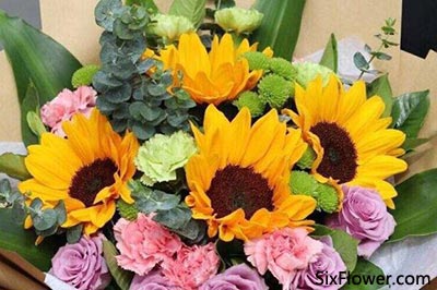 康乃馨与向日葵搭配代表什么意思 康乃馨与向日葵搭配是什么含义 六朵花