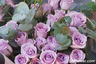 19朵紫玫瑰桔梗代表什么一束 19朵紫玫瑰桔梗花束有哪些 六朵花