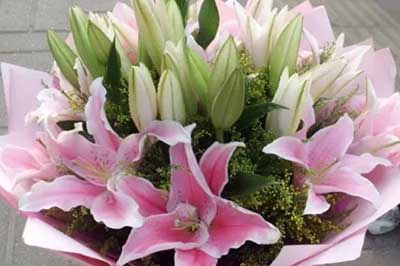 朋友春节结婚送什么花比较好？这些花既可表达春节祝贺也可以表达新婚祝福。