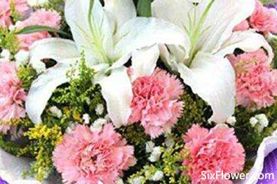 19朵康乃馨花束的图片