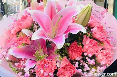 22朵康乃馨花束的图片