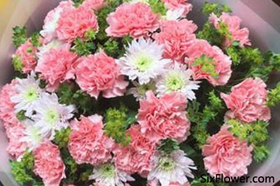 33朵康乃馨百合花束的图片