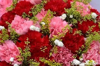 康乃馨混搭的花束，红色康乃馨和粉色康乃馨如何搭配？