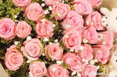 七夕节情人节送花，给她送上你秋天里的第一份爱的温暖！