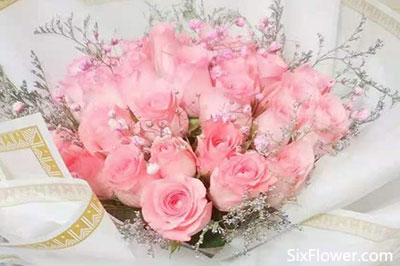 18朵粉玫瑰花束的图片