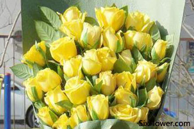 9朵黄玫瑰的花语是什么?