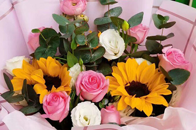 小寒节送什么花好？这些花可以送给家人、爱人表达温暖的问候。