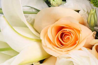 香槟玫瑰和百合搭配代表什么意思 六朵花