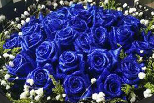 11朵蓝玫瑰满天星花束的图片