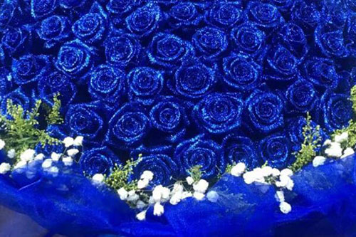 勿忘我和蓝玫瑰如何搭配？勿忘我和蓝玫瑰代表什么意思？