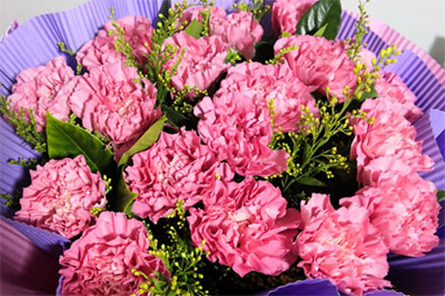 11朵康乃馨桔梗花束的图片，11朵康乃馨桔梗花束代表什么意思