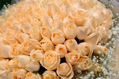 桔梗和香槟玫瑰代表什么意思？桔梗和香槟玫瑰搭配的花束。