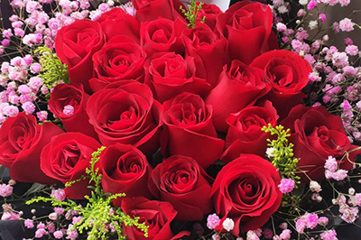 红玫瑰和紫玫瑰混搭的花束有哪些？