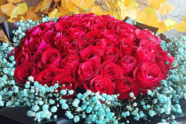 蓝色满天星玫瑰花搭配代表什么意思	？蓝色满天星与玫瑰花搭配的花束