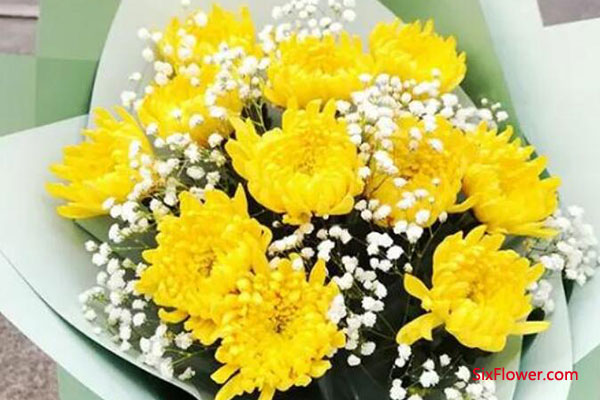清明节是送白色菊花还是黄色菊花好？