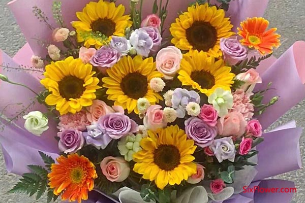 �ճ��ͻ���ѡ��