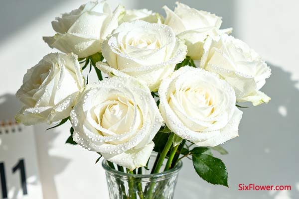ϰõĺĻࡢʥİ