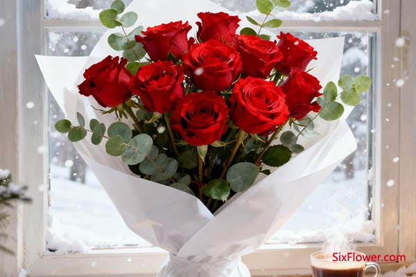 炽热之选:红玫瑰,如冬日里的一团烈火