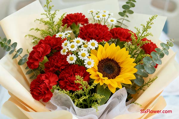 儿子生病送什么花好?