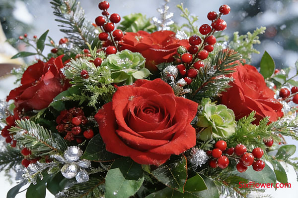 ������ɫ���䷽���������̵�������