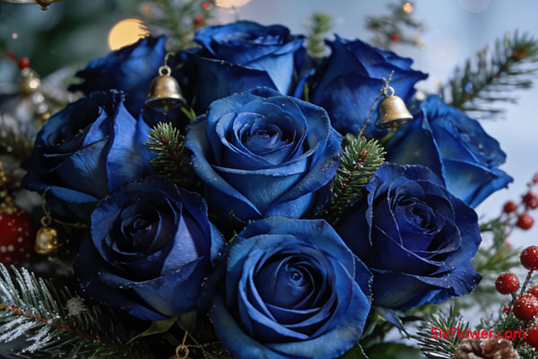 蓝玫瑰:人为雕琢的之花