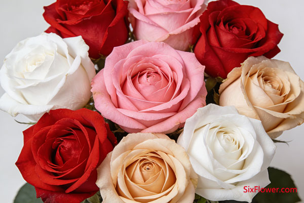 9��õ��&mdash;&mdash;ʥ��֮ŵ����ҹ�غ�