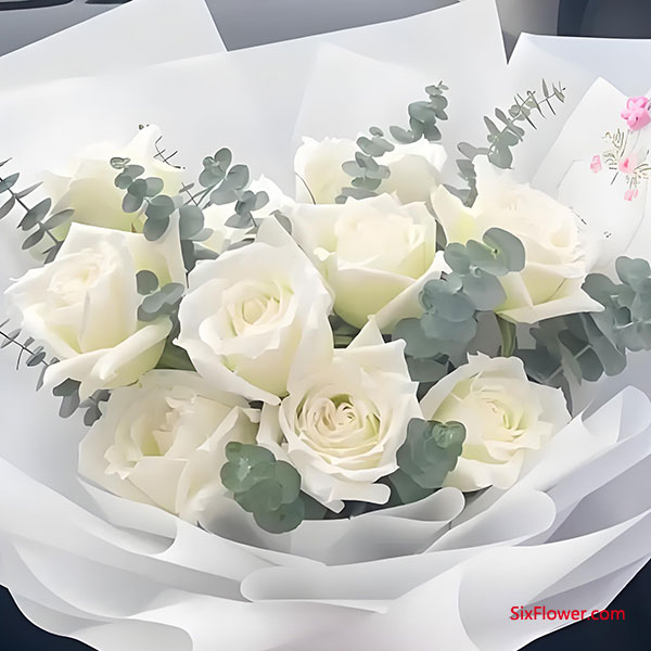 ��˵Ԣ�⣬��õ�����������ܴ���