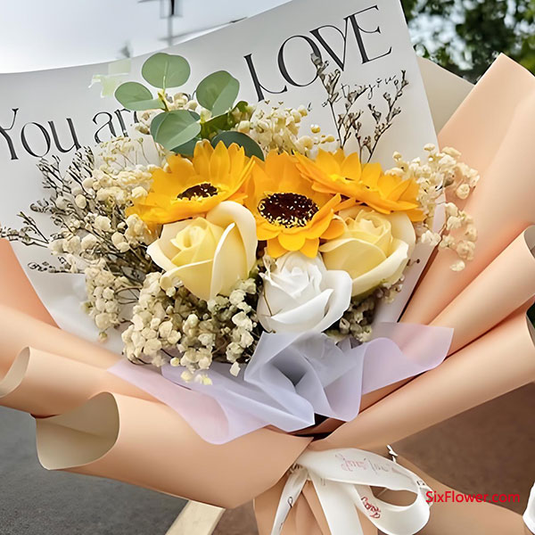 Сѧ�������������ʺ���С�����Ļ���
