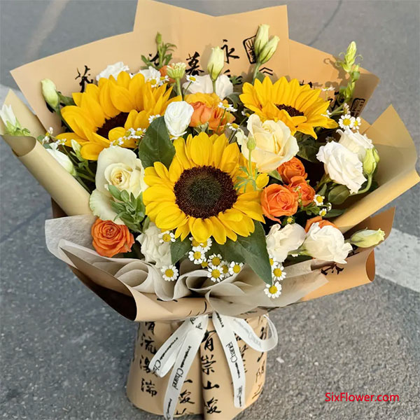 �ȿ���Ǯ�����ٿ�������