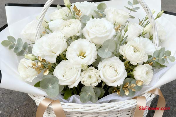 融入一点“彩”