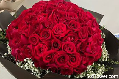 圣诞节给女朋友送花是选红玫瑰还是粉玫瑰好？两颜色的玫瑰花哪一种更适合？