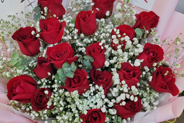 今日推荐：爱情表白首选红玫瑰！