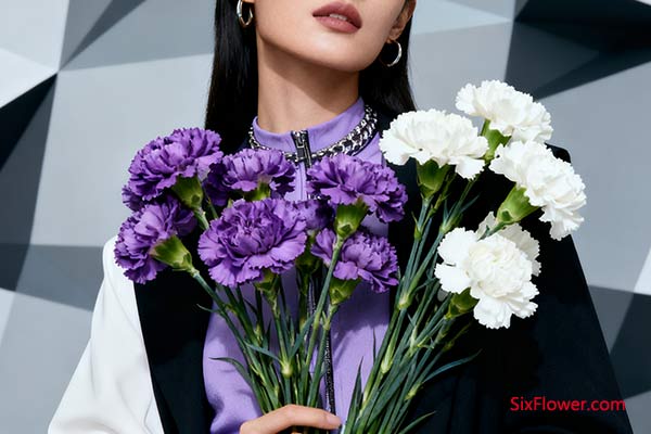 聚焦对象——分析姐姐的个人特点