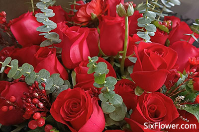 七夕节给老婆送几朵玫瑰花好？