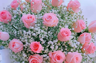 给初恋情人送什么花好？送花有讲究，这种花最适合初恋请人送花了。
