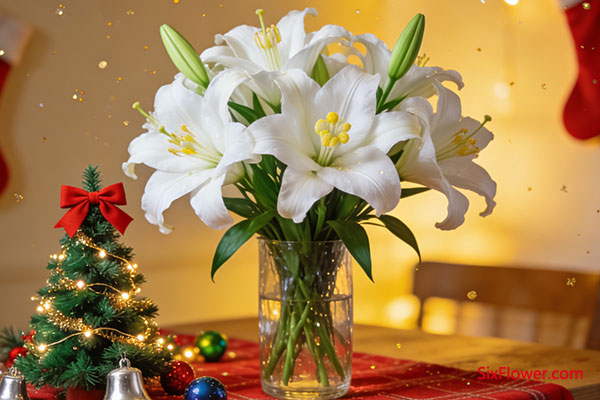 ʥ���ڿ����Ͱٺϻ���