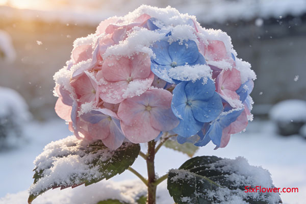 Ԫ������������ʲô�ر�ĺ��壿