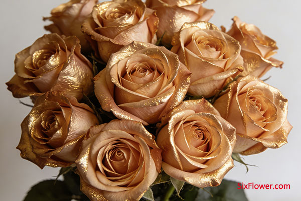 ����õ�壺�������ʱ����̽��ŵ