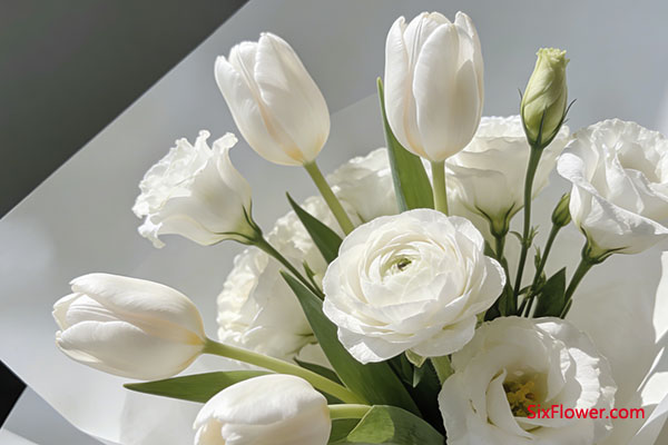 ��(y��u)�ŏ������|���ͻ�