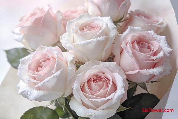 ��ѩɽõ��ĺ���